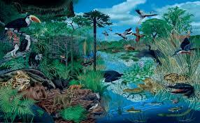 Aportes a la ciencia - La selección natural es el mecanismo que permite la evolución