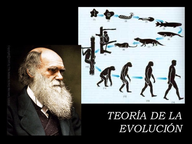 Teoría de la Evolución