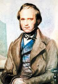 Estudios Superiores de Darwin