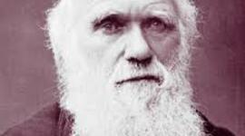 Timeline: Biografia Charles Darwin MATEO PAEZ 1ª "E1"