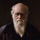 Charles darwin social