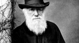 Timeline: Darwin