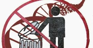 se descubrió que El ‘ADN basura’ no es un desecho