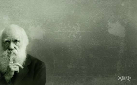 Primer descubrimiento