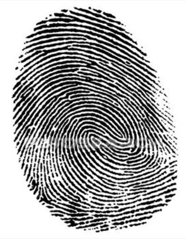 Using Fingerprints to determine Crime