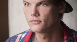 Timeline: Tim Bergling