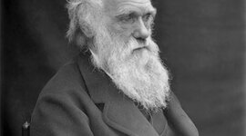 Timeline: Biografia de Darwin