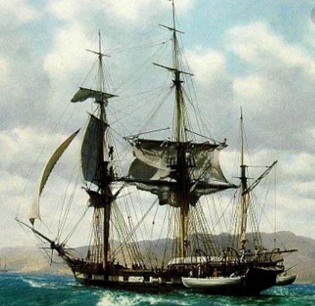 La expedición del H.M.S. Beagle