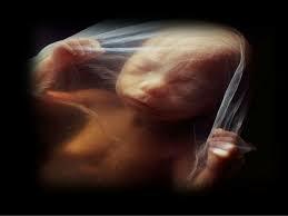 2 últimos meses de embarazo. Final de periodo fetal.