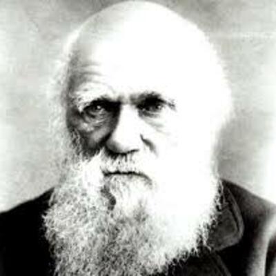 Timeline: La biografía de Charles Darwin Mashinkiash Patricio 1E1