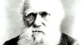 Timeline: La biografía de Charles Darwin Mashinkiash Patricio 1E1