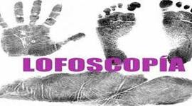 Timeline: Historia de la Lofoscopía