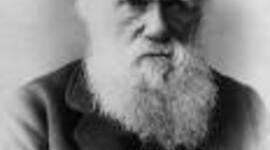 Timeline: cronologia Charles Darwin 1e1 Sebastián Arévalo