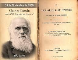 Su gran publicación