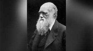 El nacimiento de charlie