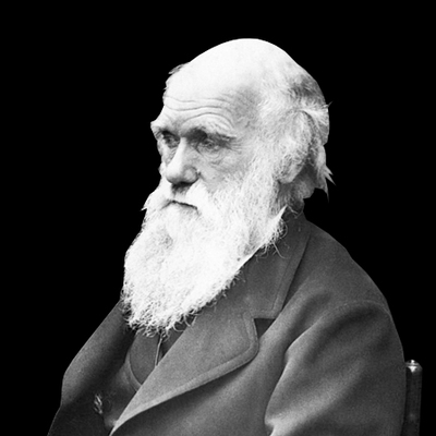 Timeline: Pedro Feijoo 1E2 Deber de Biologia