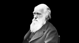 Timeline: Pedro Feijoo 1E2 Deber de Biologia