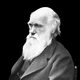 Charles darwin
