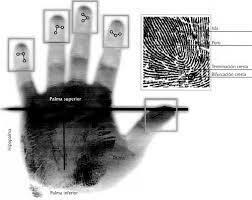 Identificacion en crestas