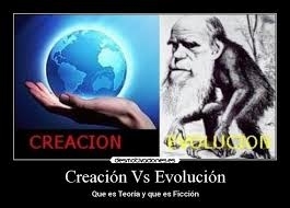 Evolucionismo vs Creacionismo.