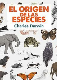 Traduccion al Castellano