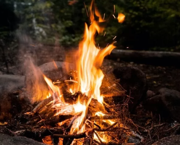 CIENCIA - Año ( Hace aproximadamente 790.000 de años) (Neolítico)