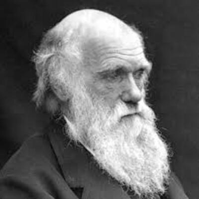 Timeline: Biografia Charles Darwin