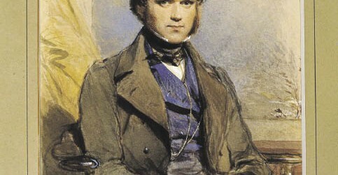 Empieza a especializarse