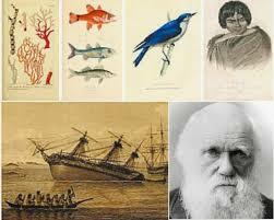 Expedición del Beagle