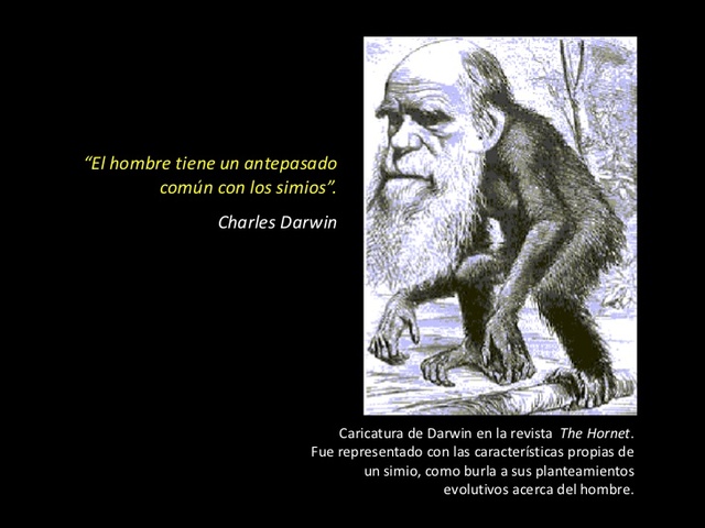 Todos los seres vivos partimos de un antepasado común
