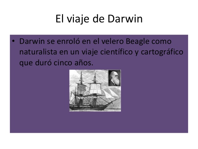Darwin trabaja en la redacción de su viaje 1839