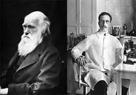 Darwin enfermó de problemas cardiacos en 1881