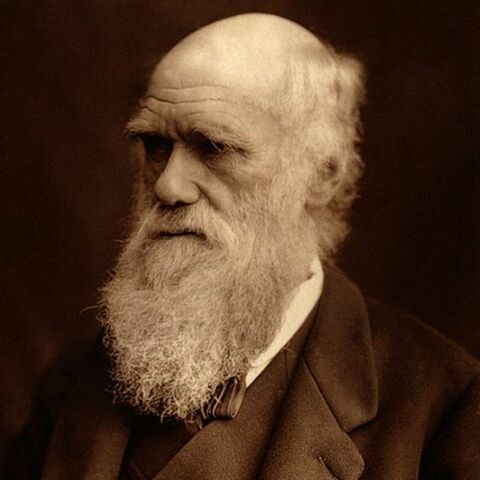 Nacimiento de Charles Darwin
