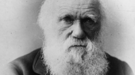 Timeline: Biografia de Charles Darwin