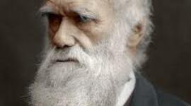 Timeline: Biografia de Charles Darwin Joseph Alvarez 1F2
