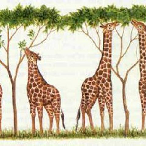 Charles Darwin publica su obra "El origen de las especies"