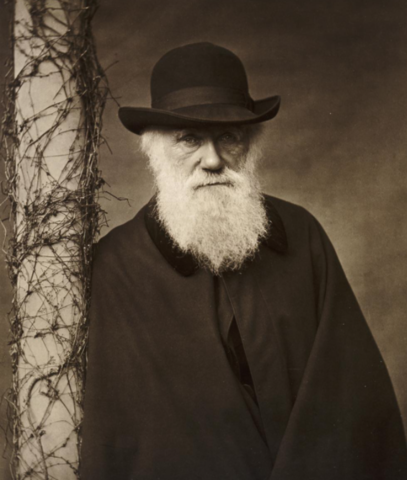 El origen de las especies