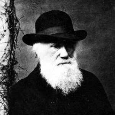 Timeline: Biografia de Darwin_Carol Avila_1D1