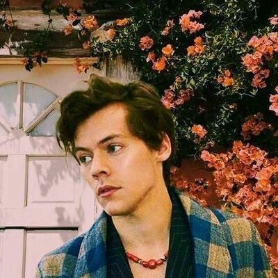 Timeline: Harry Styles