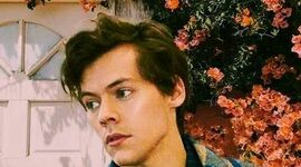 Timeline: Harry Styles
