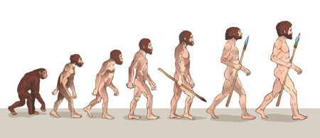 La teoria de la evolucion