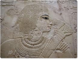 Instrucciones del Visir