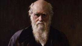 Timeline: Biografía sobre la vida de Darwin