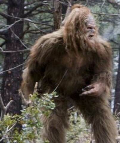 Bigfoot in Russia