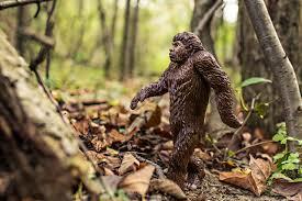 Bigfoot today