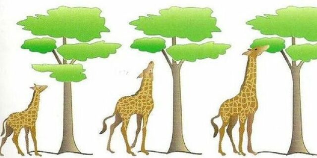 Jean-Baptiste Lamarck