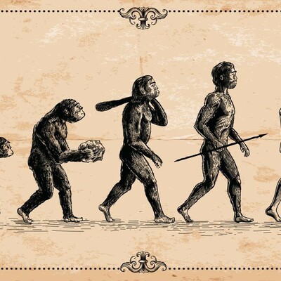 Timeline: Etapas de la evolución humana