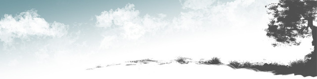 Debuteaza ca blogger