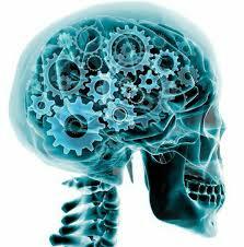 Mecanismos neurofisiológicos de la atención.