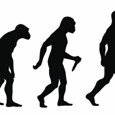 Timeline: La evolucion del ser humano
